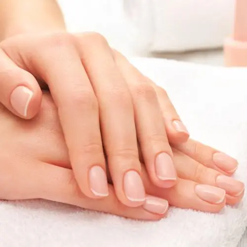 Close-up of well-groomed hands with soft, light pink nails.