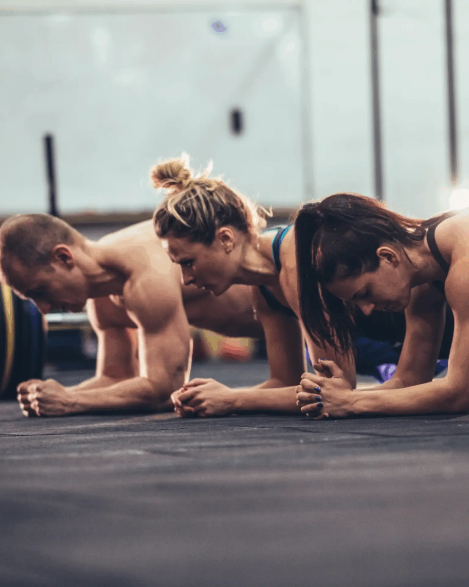 Area Fitness