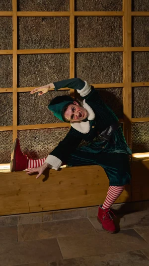 Elf on the shelf - Monticello The Entertainment SPA