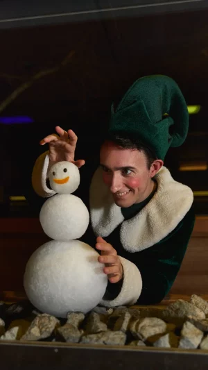 Elf on the shelf - Monticello The Entertainment SPA