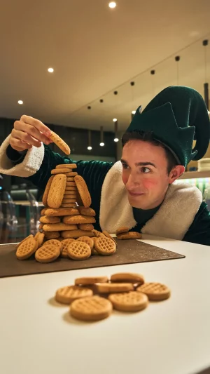 Elf on the shelf - Monticello The Entertainment SPA