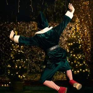 Elf on the shelf - Monticello The Entertainment SPA